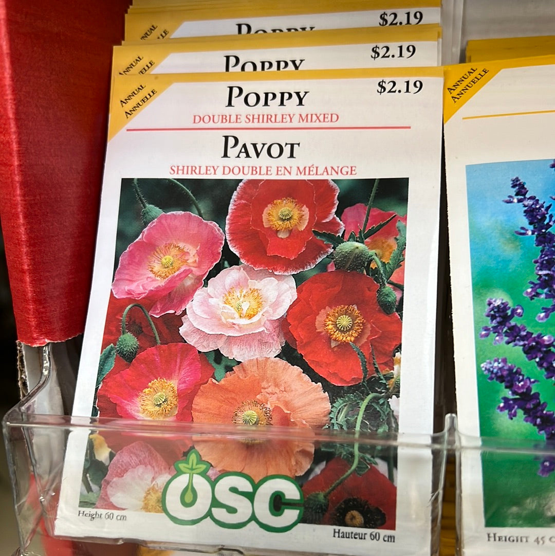 Seed Packets - Annuals