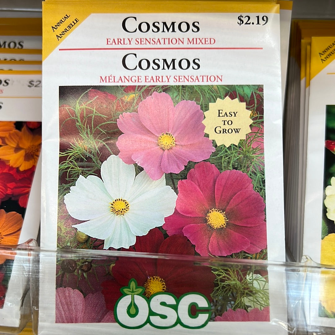 Seed Packets - Annuals