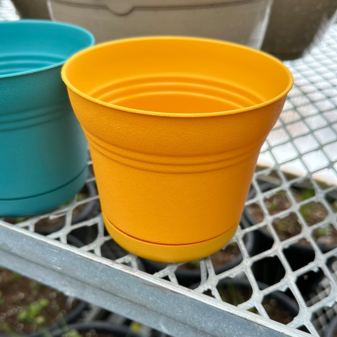 Saturn indoor/outdoor pots with attached drip tray