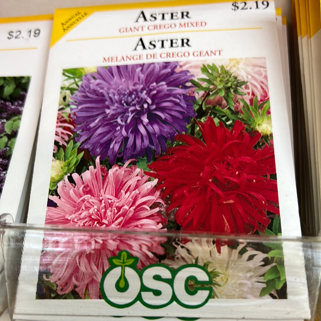 Seed Packets - Annuals