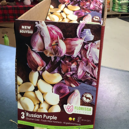 Garlic Bulbs
