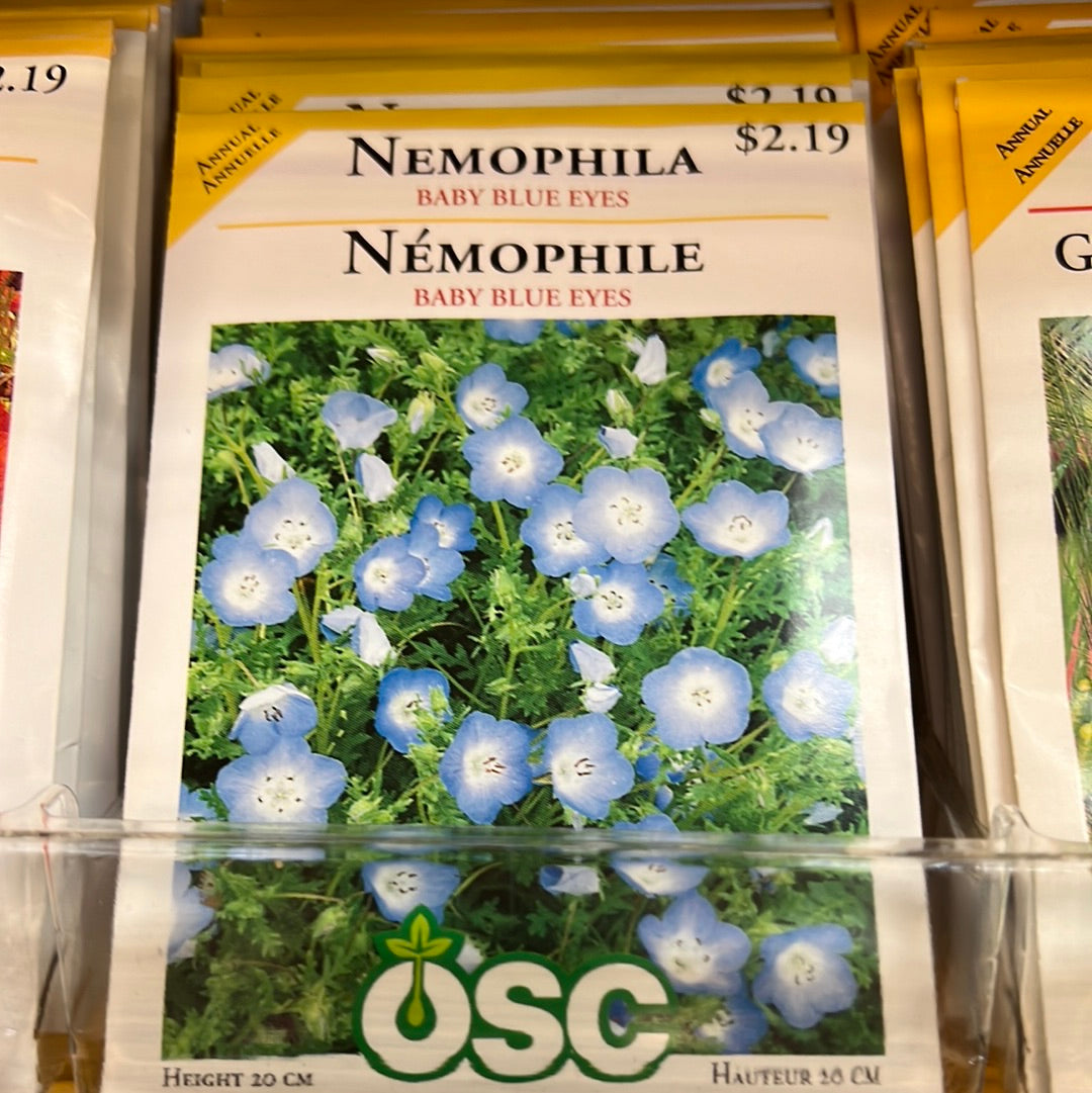 Seed Packets - Annuals