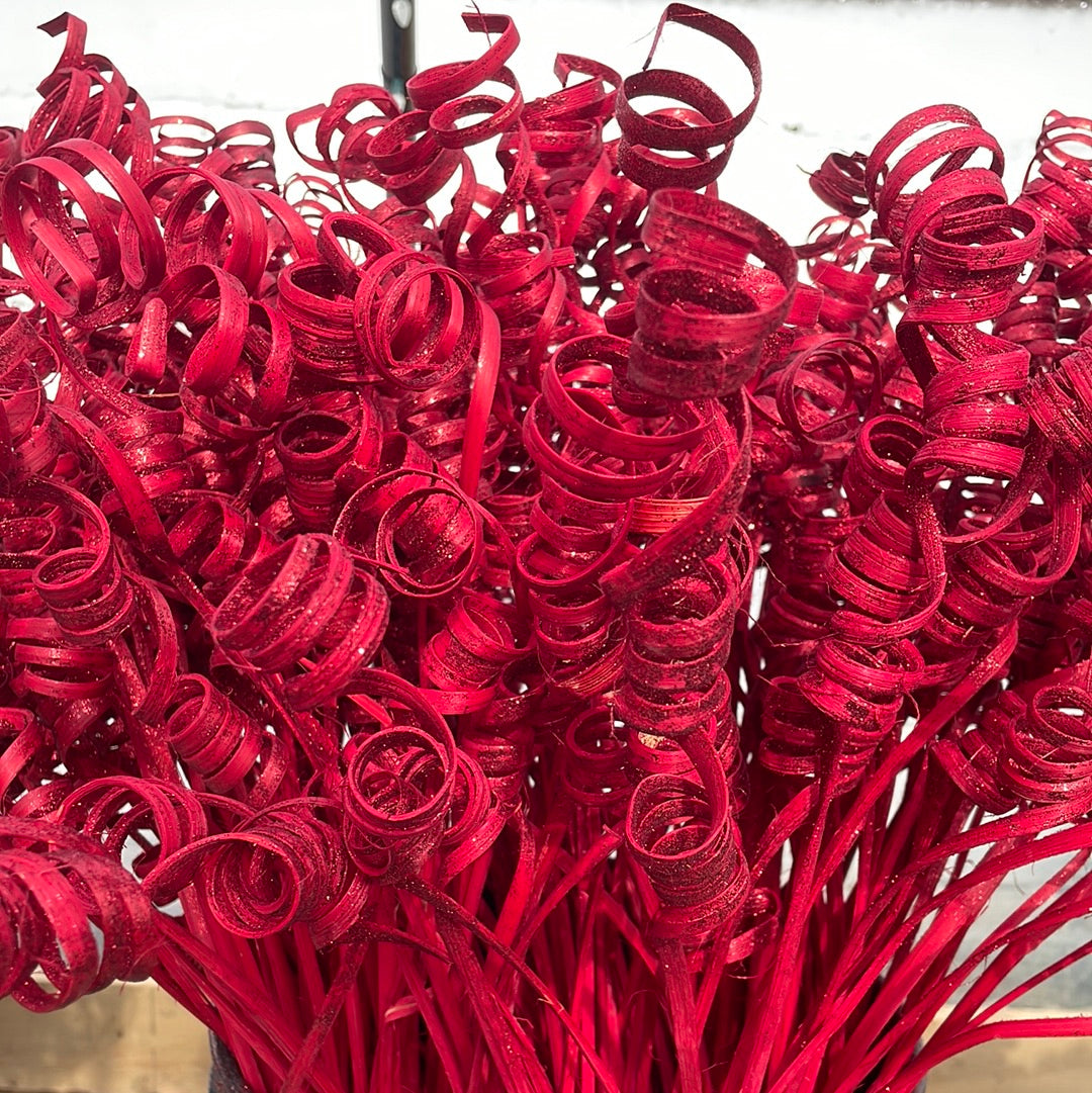 Cane Spring Red Glitter