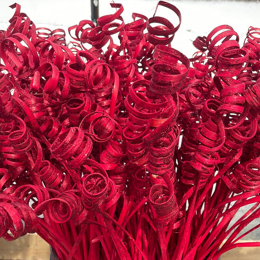 Cane Spring Red Glitter