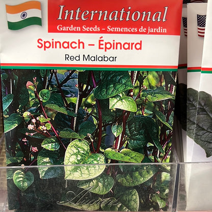 Seed Packets - International