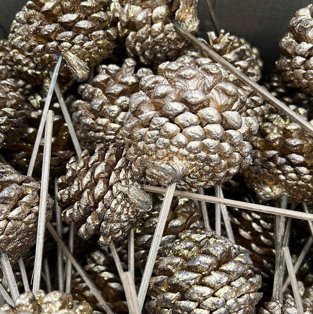 Pine Cones