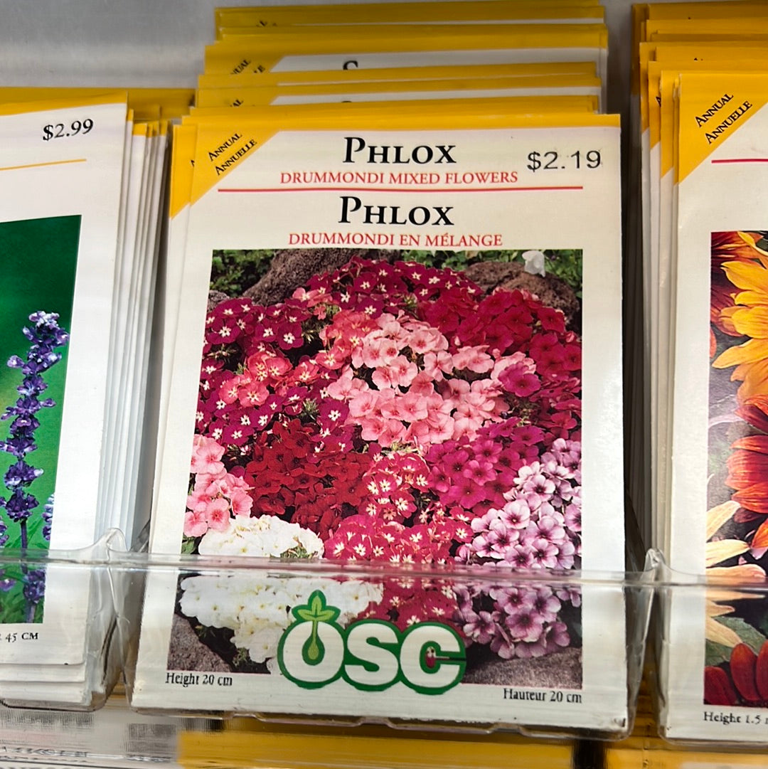 Seed Packets - Annuals