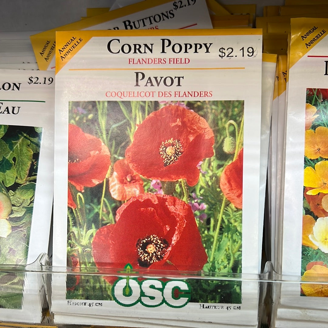 Seed Packets - Annuals