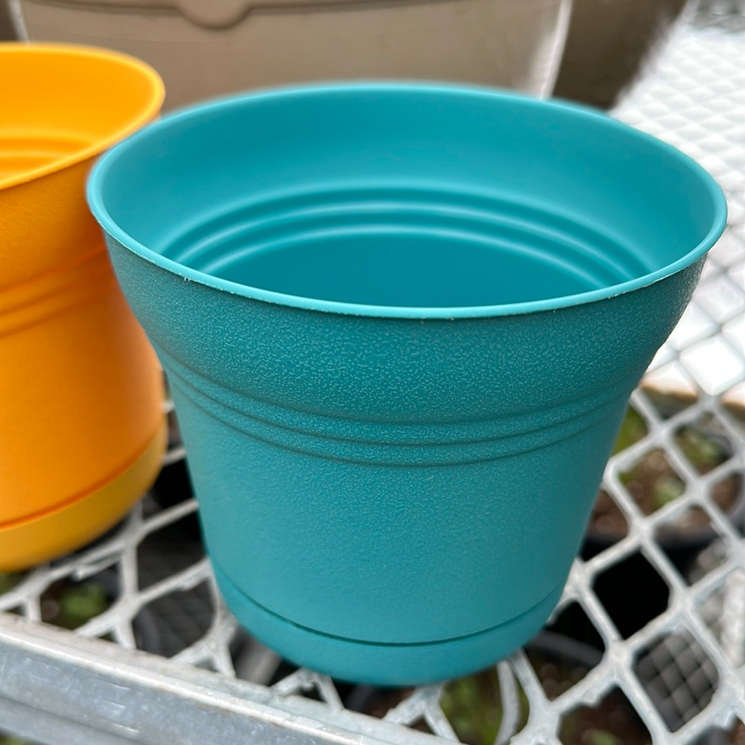 Saturn indoor/outdoor pots with attached drip tray