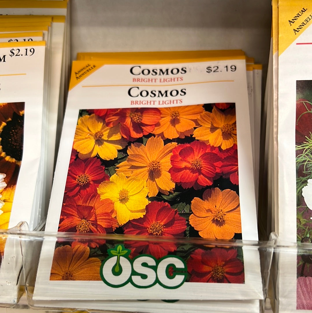 Seed Packets - Annuals