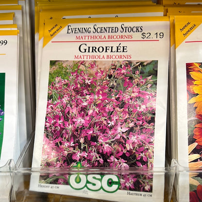 Seed Packets - Annuals