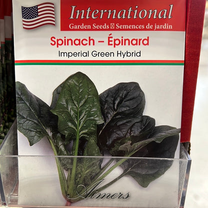 Seed Packets - International