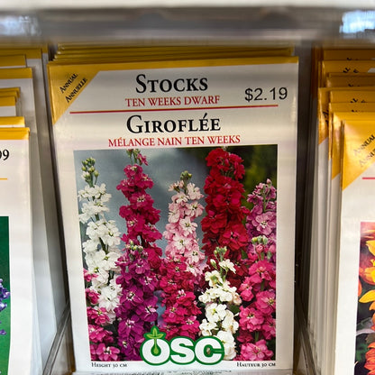 Seed Packets - Annuals