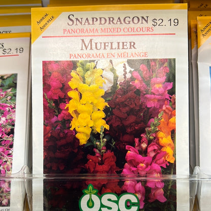 Seed Packets - Annuals