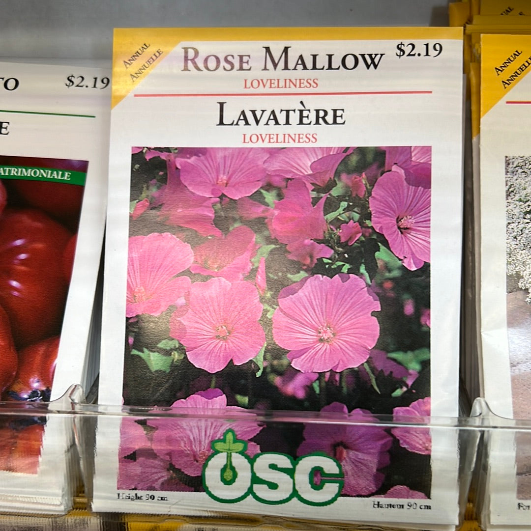 Seed Packets - Annuals