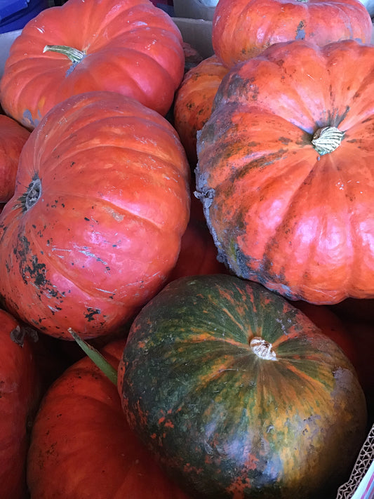 Specialty Pumpkins