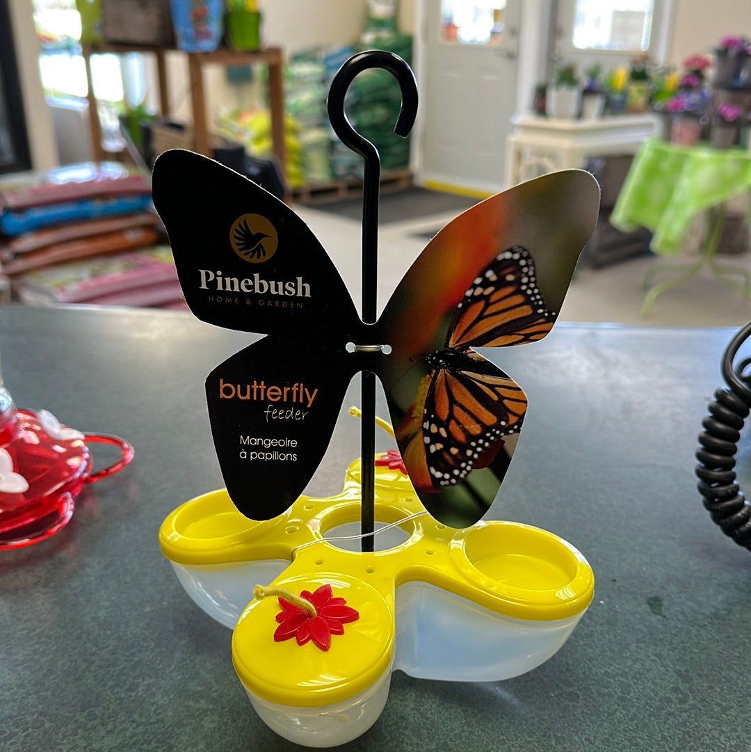 Butterfly Feeder