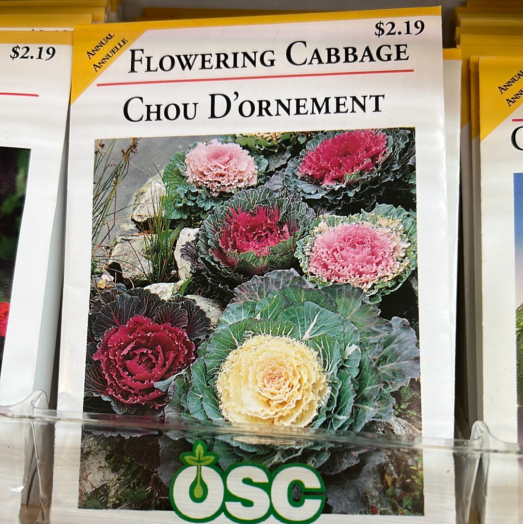 Seed Packets - Annuals