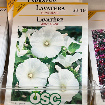 Seed Packets - Annuals