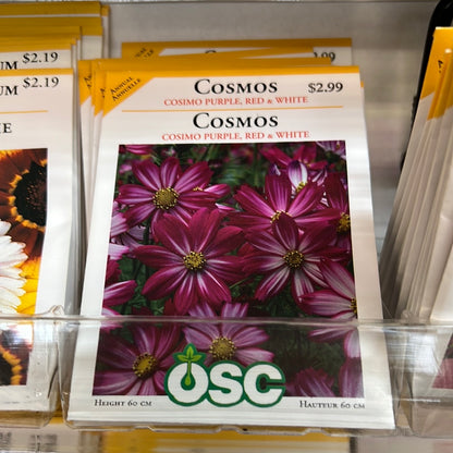 Seed Packets - Annuals