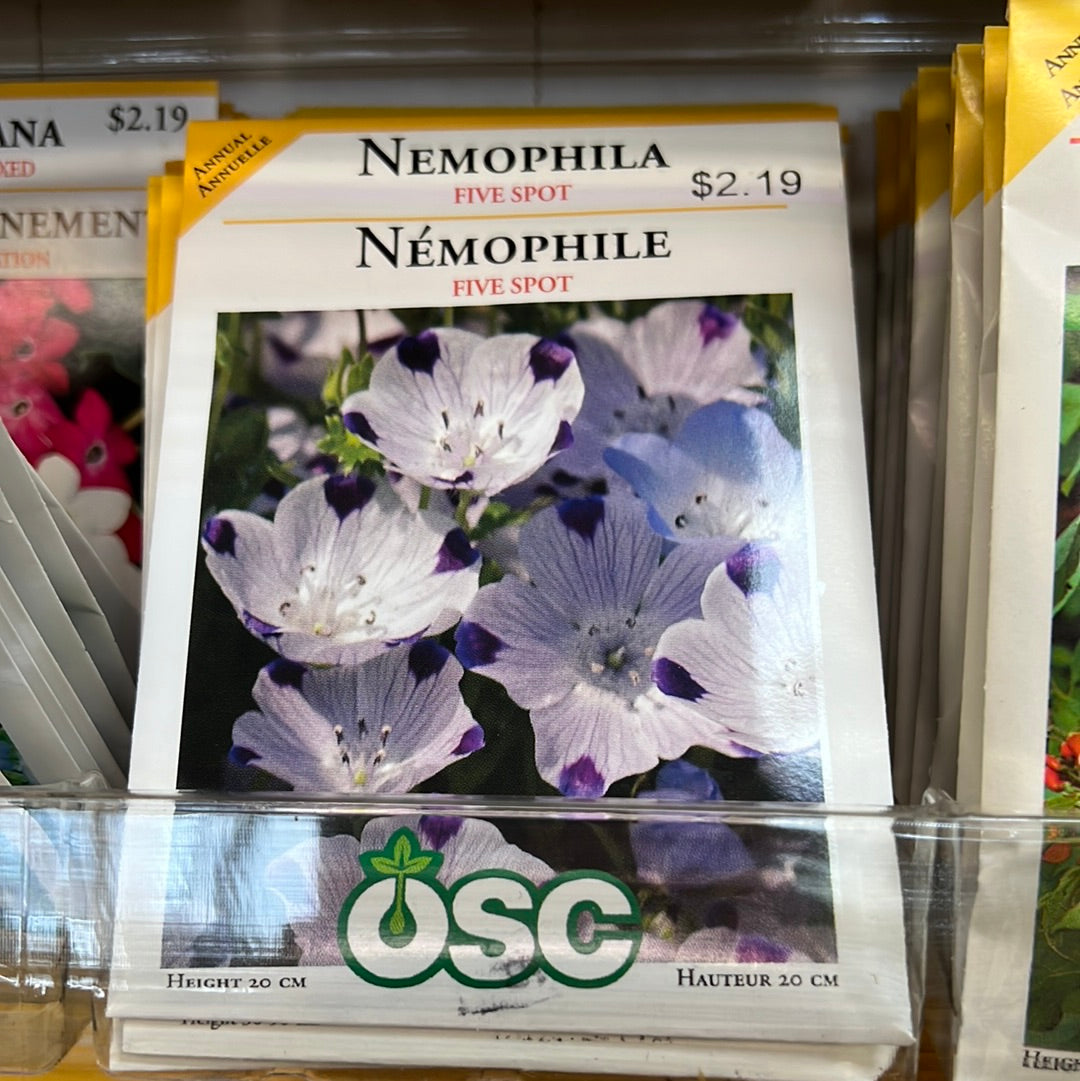 Seed Packets - Annuals